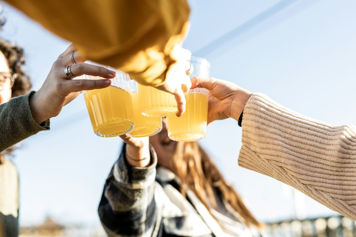 Des amis trinquent avec des verres d'alcool avant d'être déshydratés.